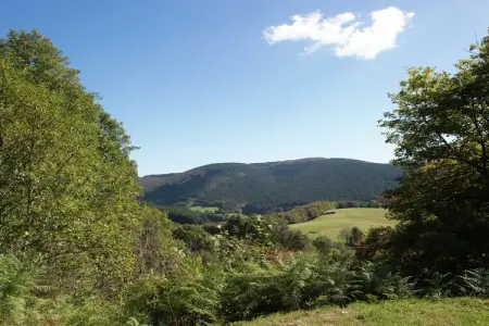 Ste Odile, Belle maison de vacances avec jardin - Photo 31