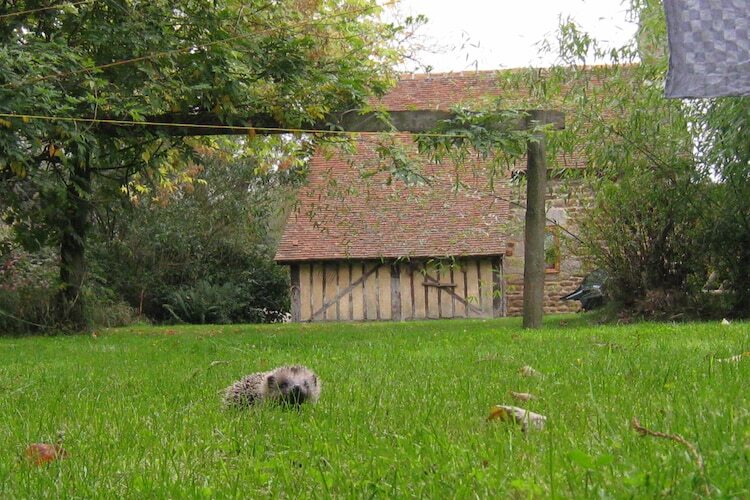 Le Fournil, maison de campagne à Céaucé - Photo 17