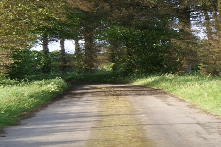 Le Fournil, maison de campagne à Céaucé - Photo 19