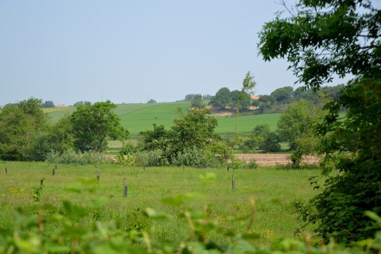 Gîte Londefort : maison 5 pers. avec jardin et VTT - Photo 17