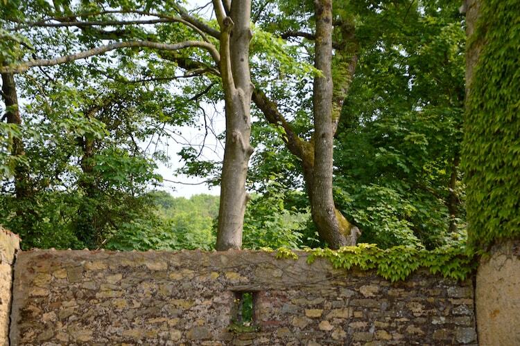 Gîte Londefort : maison 5 pers. avec jardin et VTT - Photo 25
