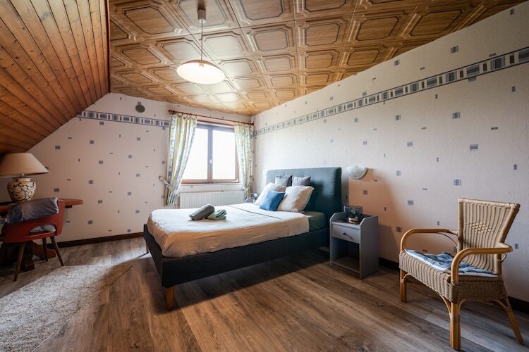 Au Cheval Blanc : maison 10 personnes, 8 hectares à Ruederbach - Photo 27