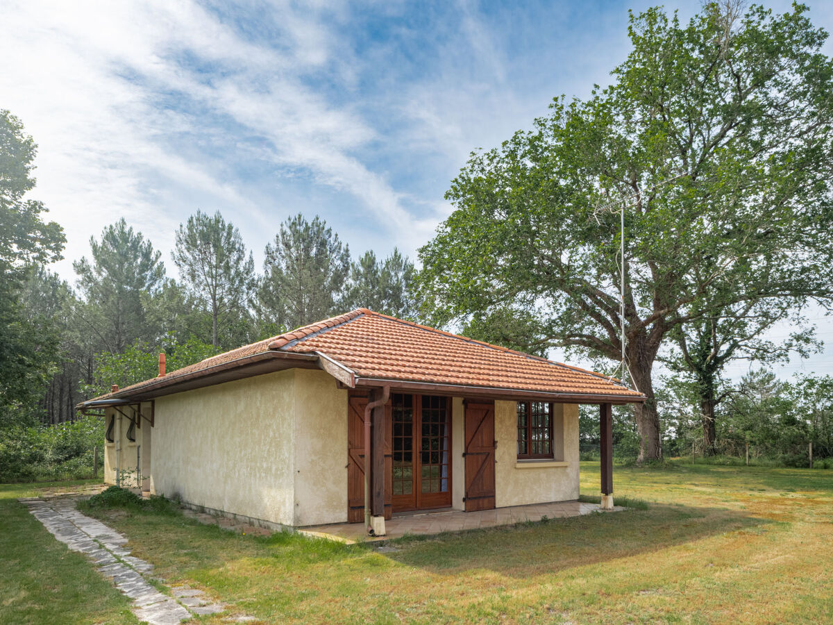 Maisouet, maison rustique 50 m² avec jardin à Mimizan - Photo 6