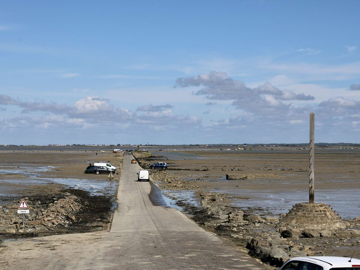 Maison rénovée 900 m de la plage à Barbâtre - Photo 21