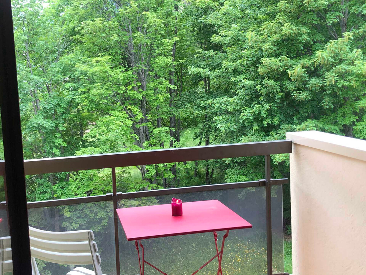 Studio 17 m² balcon, casier skis, Pra-Loup - Photo 10