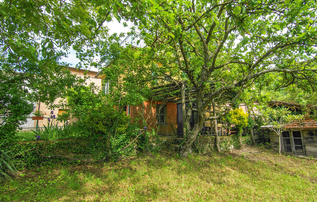 Maison 10 personnes à Codivara - Photo 6