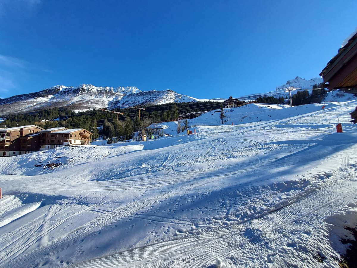 Crève Cœur : 2 pièces skis aux pieds, 50m télécabine - Photo 10