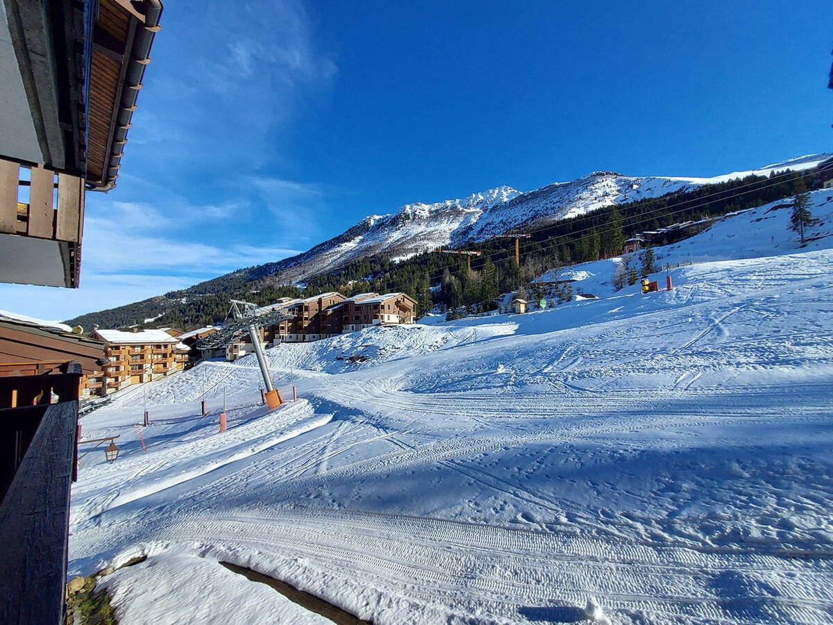 Crève Cœur : 2 pièces skis aux pieds, 50m télécabine - Photo 11