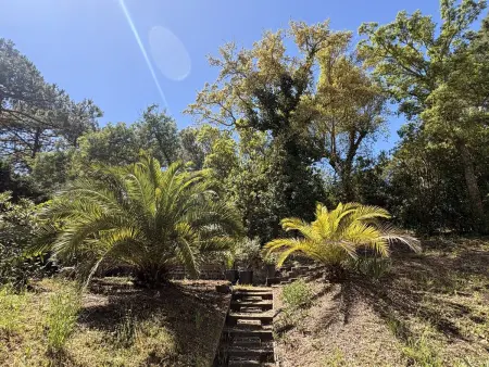 Villa 150 m² avec 3 terrasses et jardin, 10 min du Bassin : photo 3