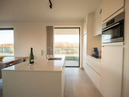 One with Terrace and Dune View – Appartement à Blankenberge : photo 18