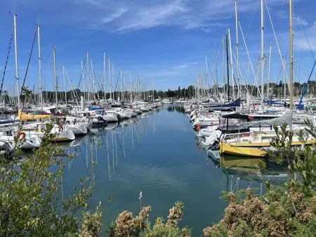 Appartement La Forêt-Fouesnant : 50 m du port, plage à pied : photo 11