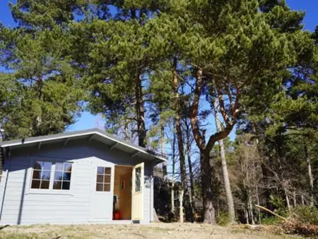 Lodge 8 pers. au Chambon-sur-Lignon : spa privé et piscine : photo 28