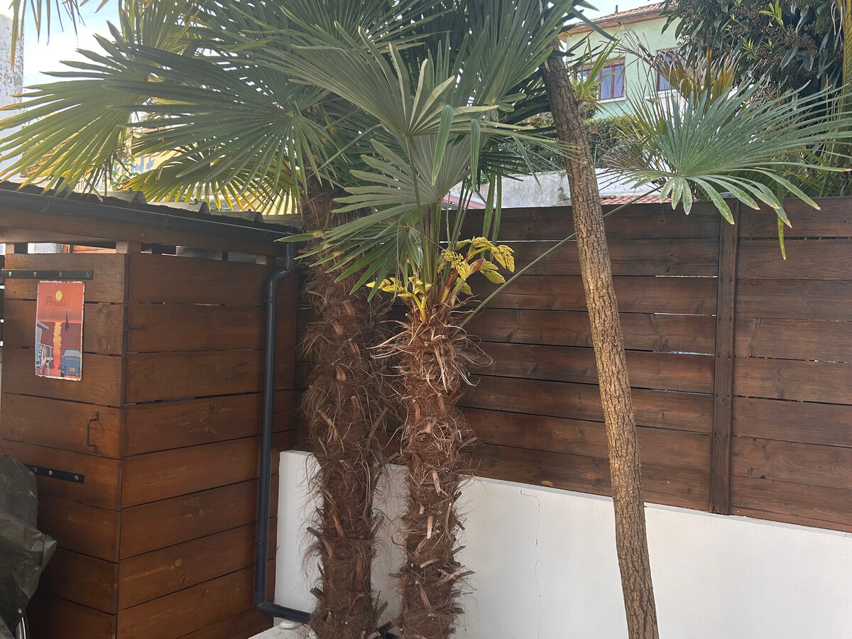 Triplex climatisé, terrasse 35m², 100m de la plage à Arcachon - Photo 9
