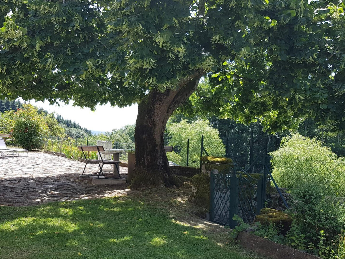 Le Prunier – Gîte 6 pers, Montagne Bourbonnaise - Photo 8