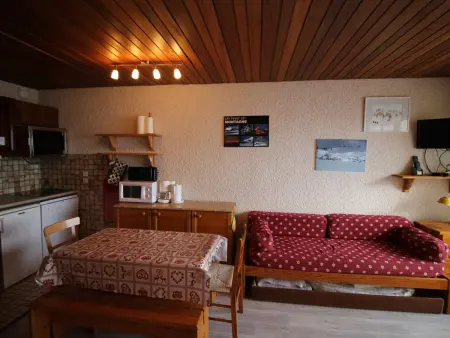 Studio cabine rénové aux Écrins, balcon sud-est, parking gratuit : photo 5
