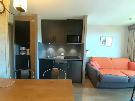 Appartement 4 pers., skis aux pieds à Belle Plagne : photo 8
