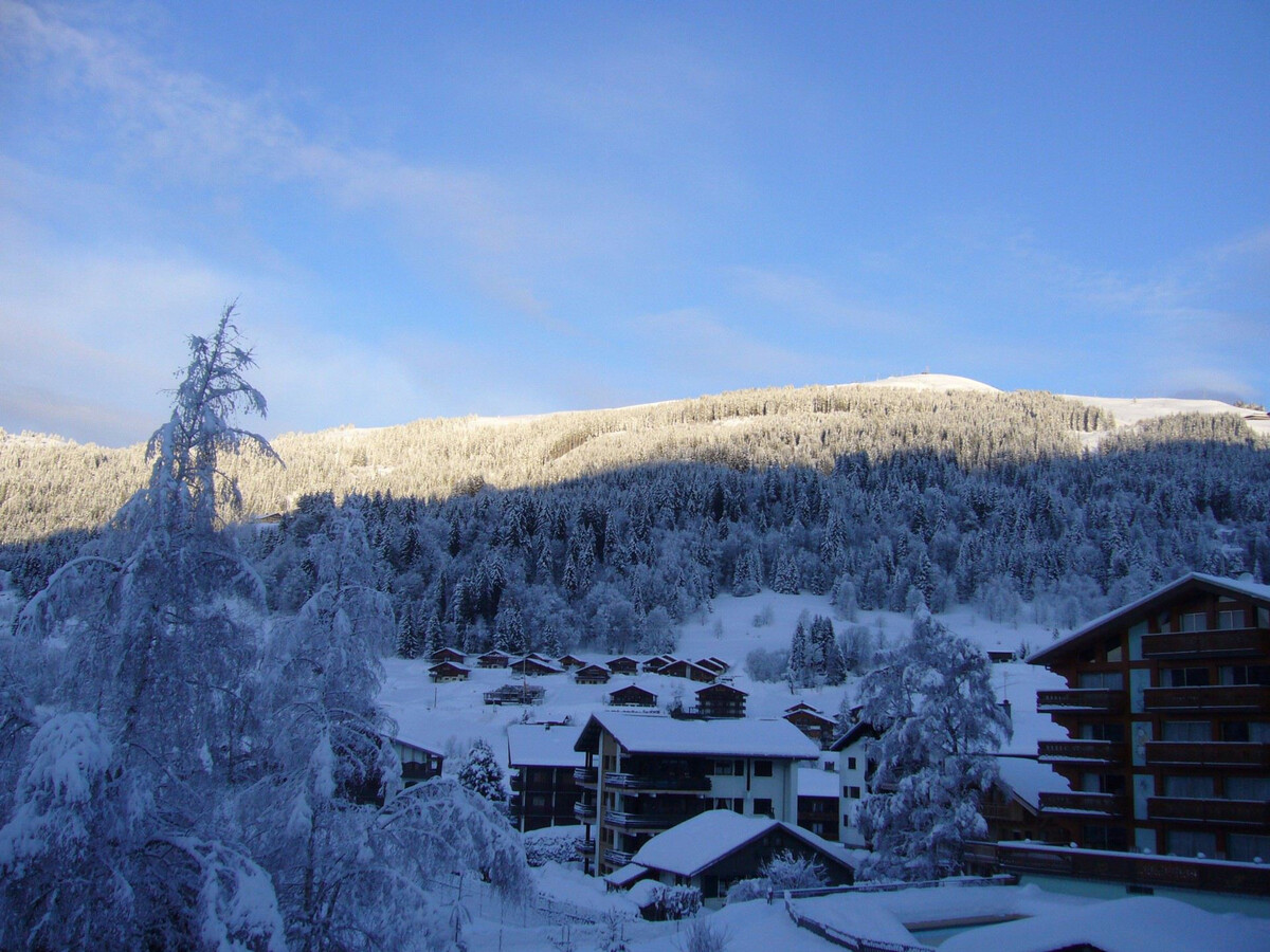 Appt 3* 6 pers aux Gets, 100m des pistes - Photo 16