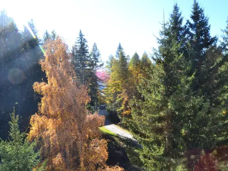 Studio 4 pers. avec balcon sud-ouest, pieds des pistes Les Arcs 1800 : photo 4