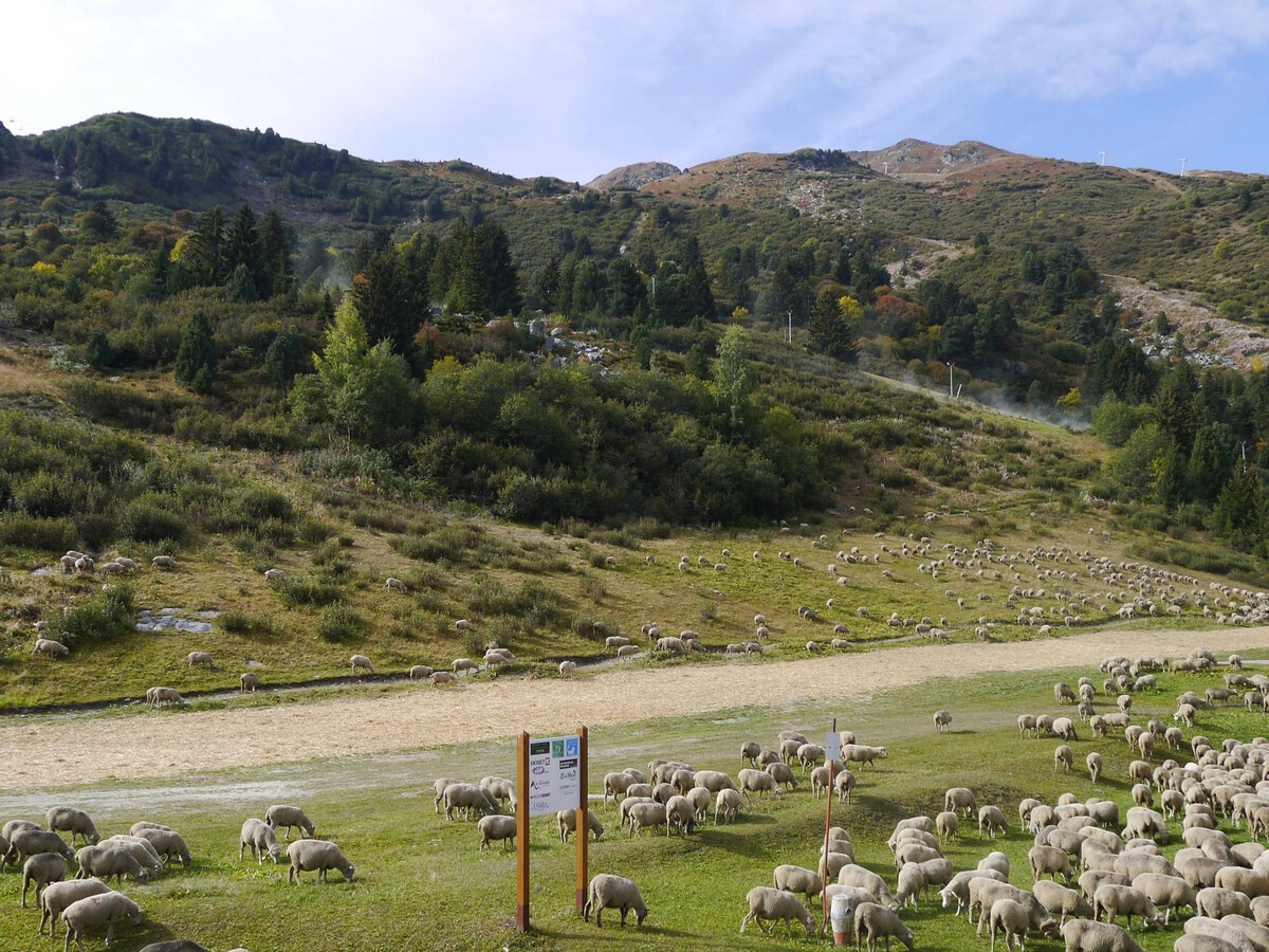Studio 4 pers. Laitelet, pieds des pistes - Photo 12