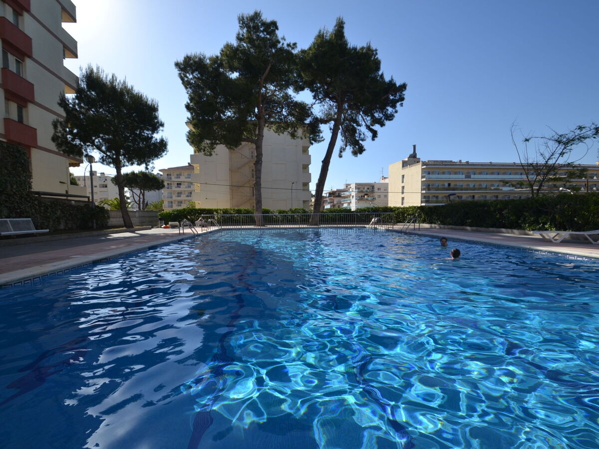 Mariposa, appartement 2 pièces à Salou - Photo 22