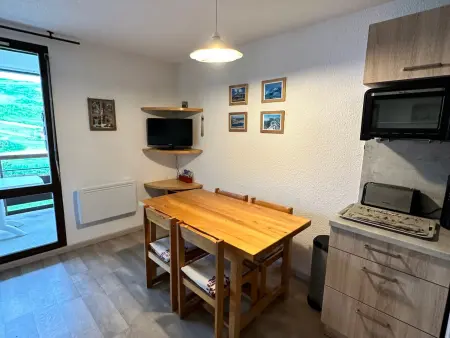 Studio 26 m² Villard-de-Lans, balcon sud, accès pistes : photo 3