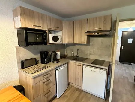 Studio 26 m² Villard-de-Lans, balcon sud, accès pistes : photo 4