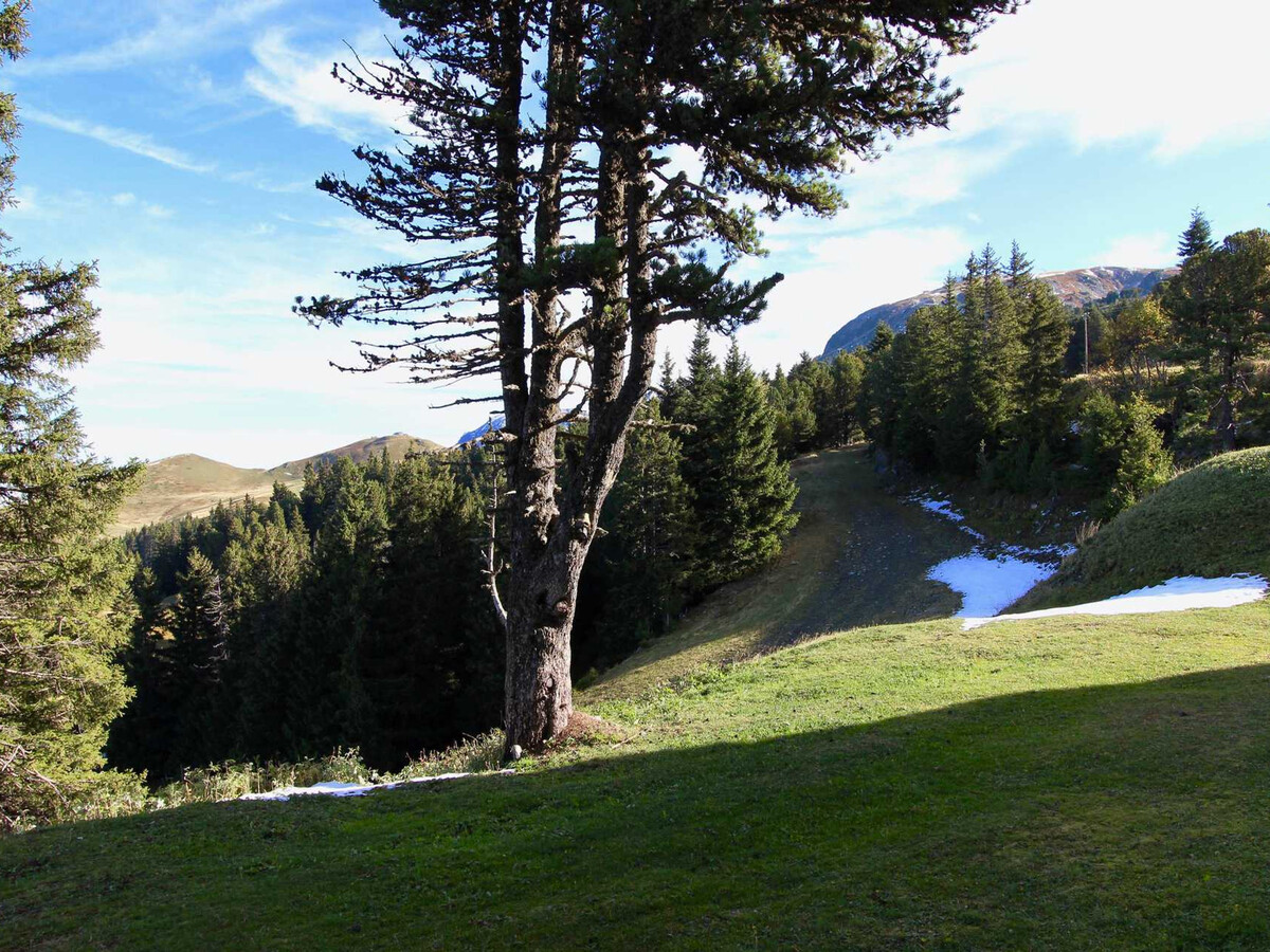 Studio au pied des pistes, animaux admis, Appartement 3 personnes à Chamrousse - Photo 16