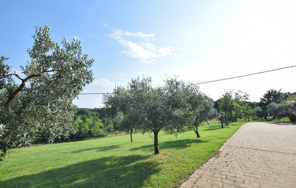 Casa Calvana, Maison 5 personnes à Santa Maria a Monte - Photo 24