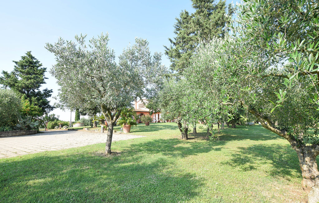 Casa Calvana, Maison 5 personnes à Santa Maria a Monte - Photo 37