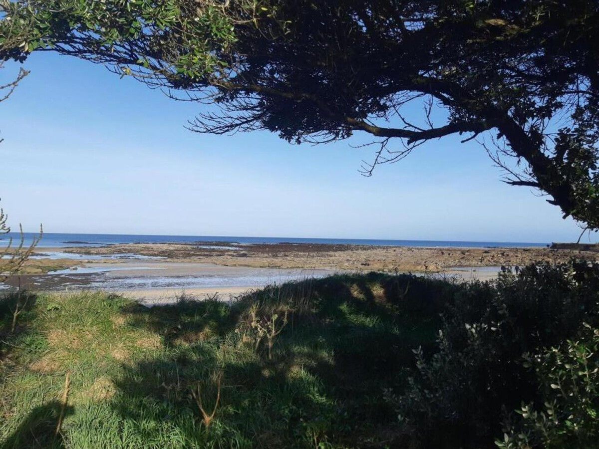 Gîte 6 pers. à Montfarville, terrain clos près de Barfleur - Photo 23