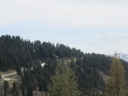 Studio 35 m² rénové, balcon Sud, 4 personnes à Chamrousse : photo 10
