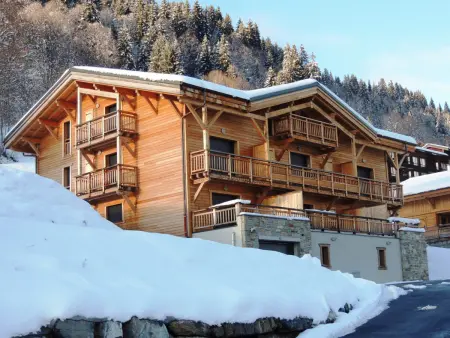 Appartement T3 lumineux avec terrasse montagne aux Gets : photo 15