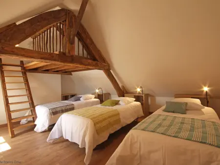 Gîte confortable avec animaux, jardin et wifi inclus, cadre paisible en Normandie - Photo 2