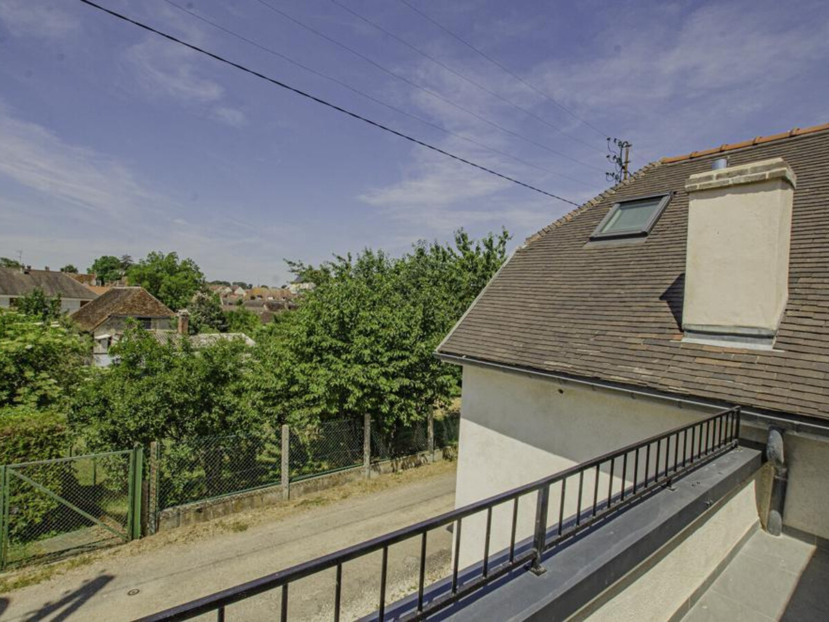 Gîte 5 chambres Chaource : terrasse, jardin, animaux acceptés - Photo 12