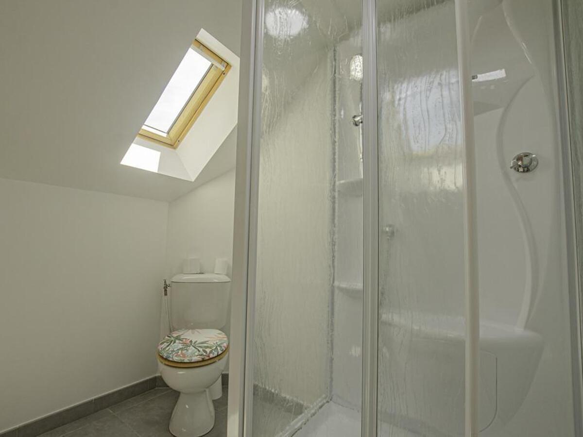 Gîte 5 chambres Chaource : terrasse, jardin, animaux acceptés - Photo 15