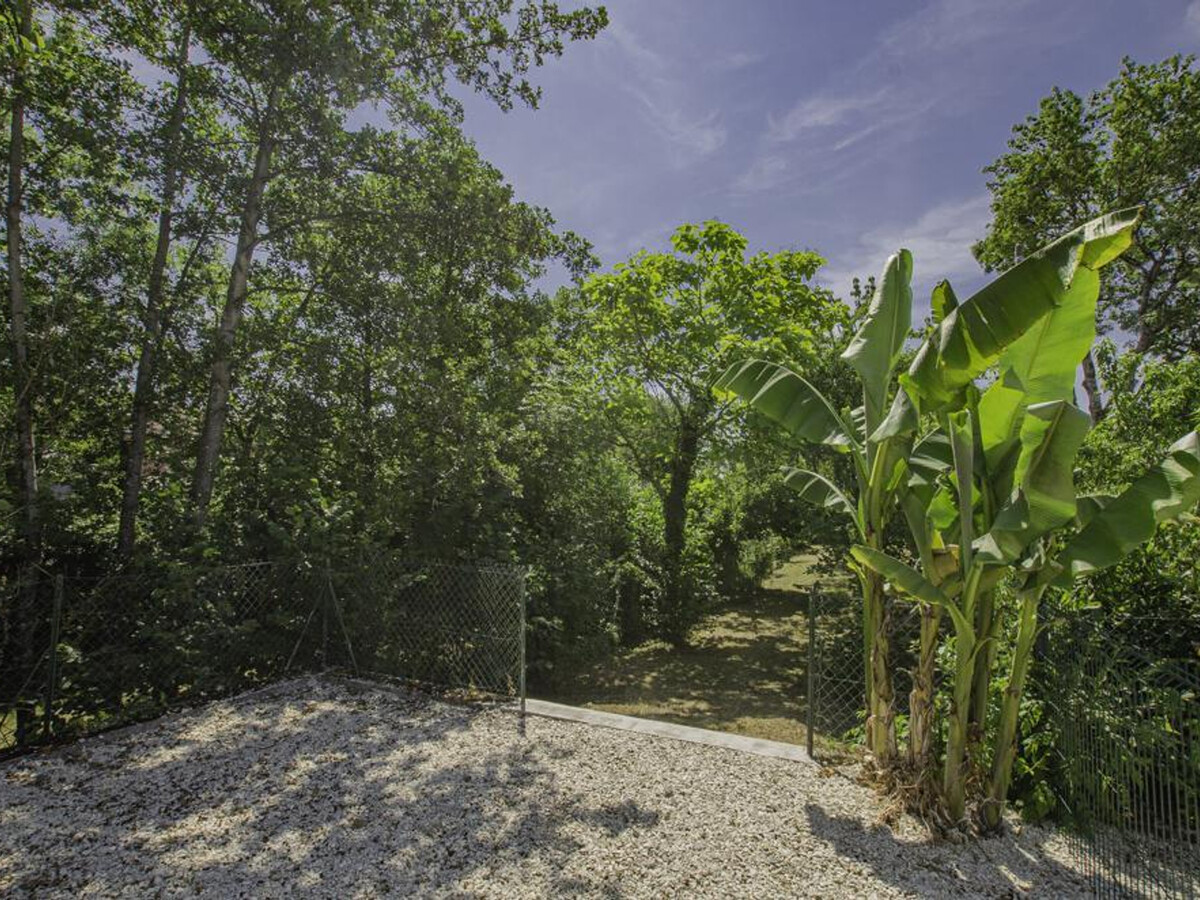 Gîte 5 chambres Chaource : terrasse, jardin, animaux acceptés - Photo 21