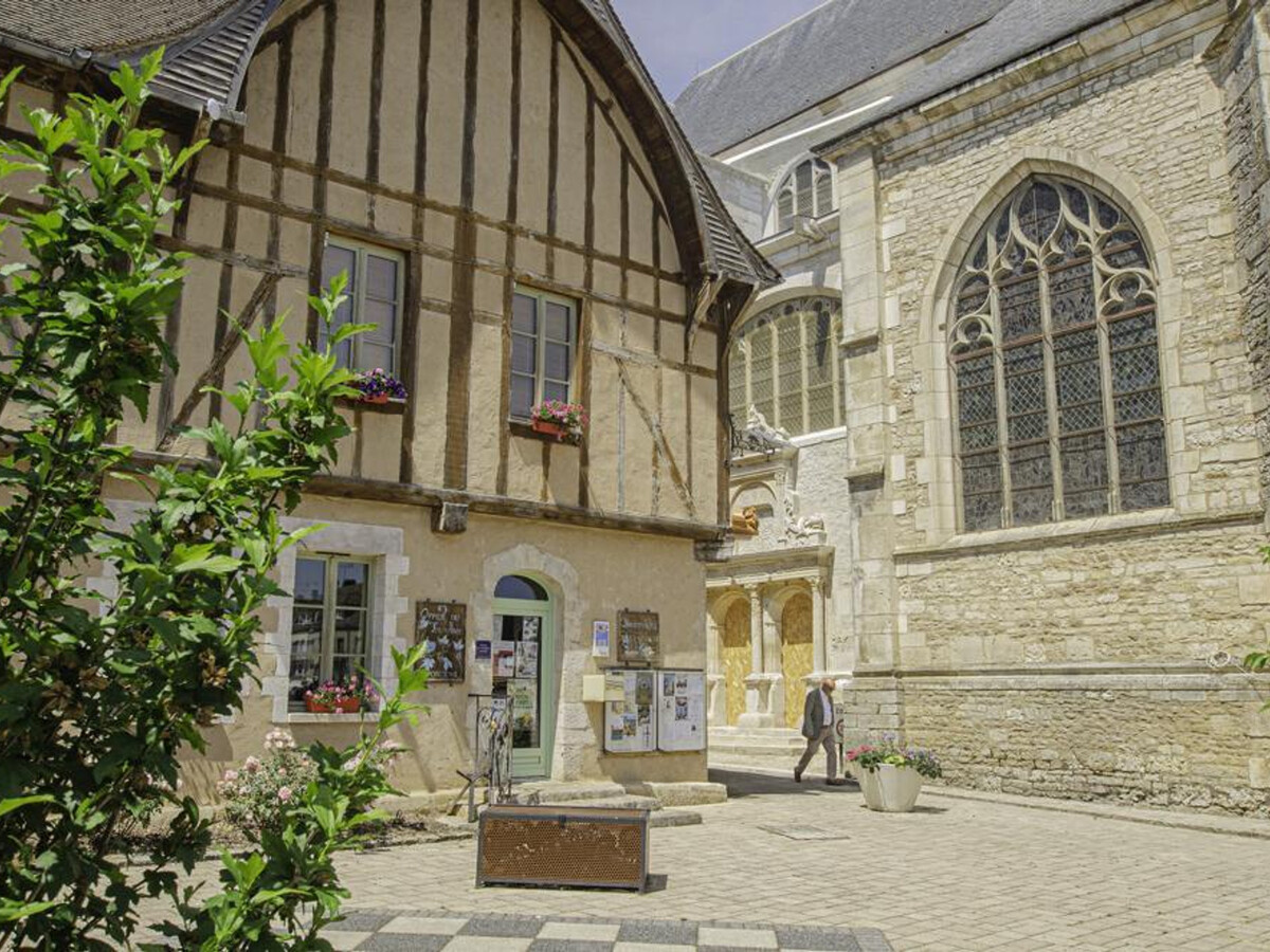 Gîte 5 chambres Chaource : terrasse, jardin, animaux acceptés - Photo 29
