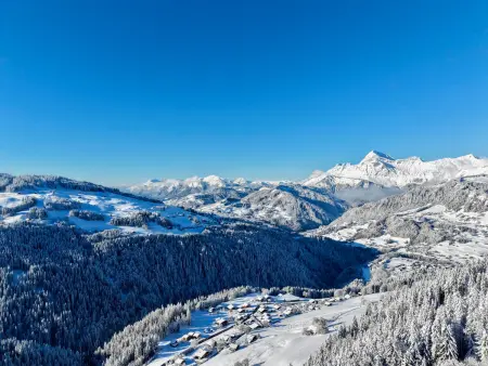 Chalet rénové avec vue Mont Charvin et WiFi, Chalet 4 personnes à Crest Voland - Photo 30