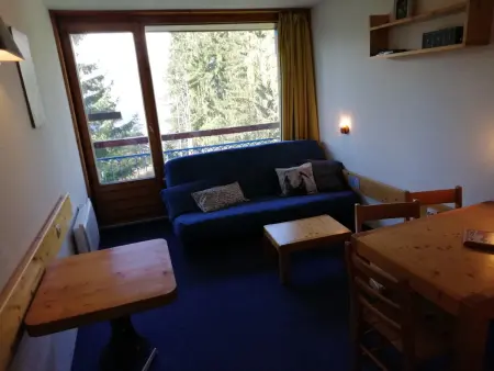 Location appartement à Les Arcs 1800, Studio skis aux pieds, proche commerces, animaux admis, Arc 1800