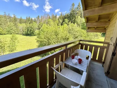Appartement 2 pièces, 6 couchages, balcon montagne et garage : photo 9