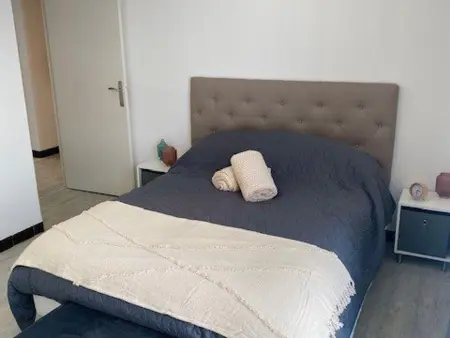 F2 centre-ville Amélie-les-Bains, 2 balcons et parking : photo 11