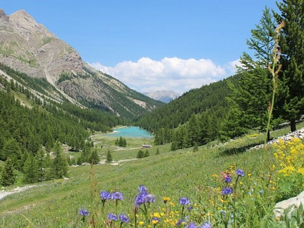Maxi Studio 4 pers à Orcières : 20 m des pistes - Photo 12