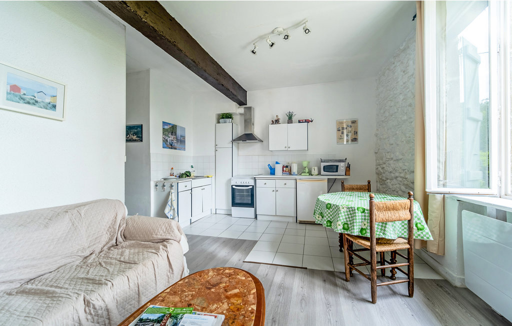 Appartement 40m² en pierre avec piscine près de Chalabre - Photo 11