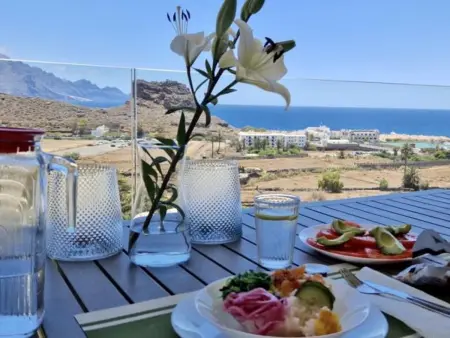 Appartement de luxe avec vue mer et montagnes à Agaete : photo 12