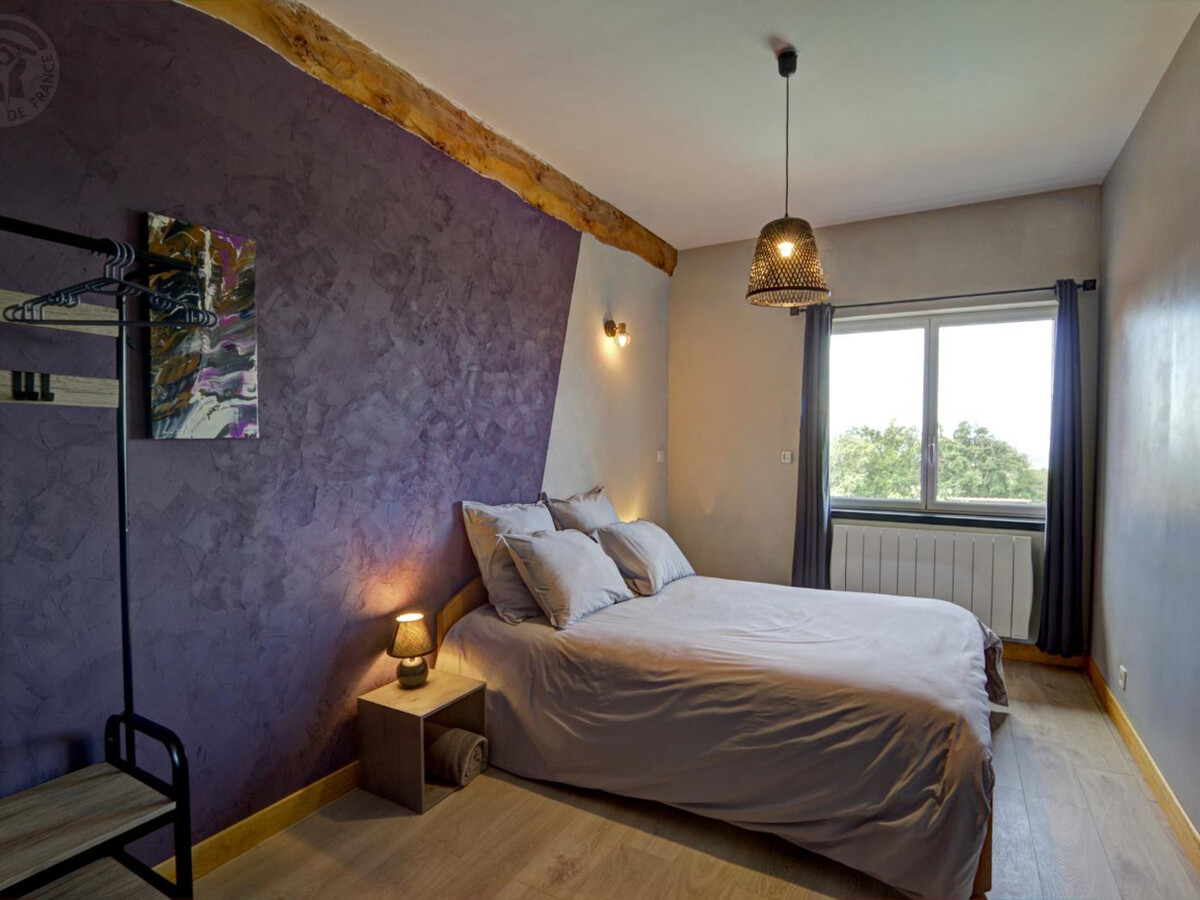 Gîte 10 pers. en campagne avec piscine et spa à Néronde - Photo 20