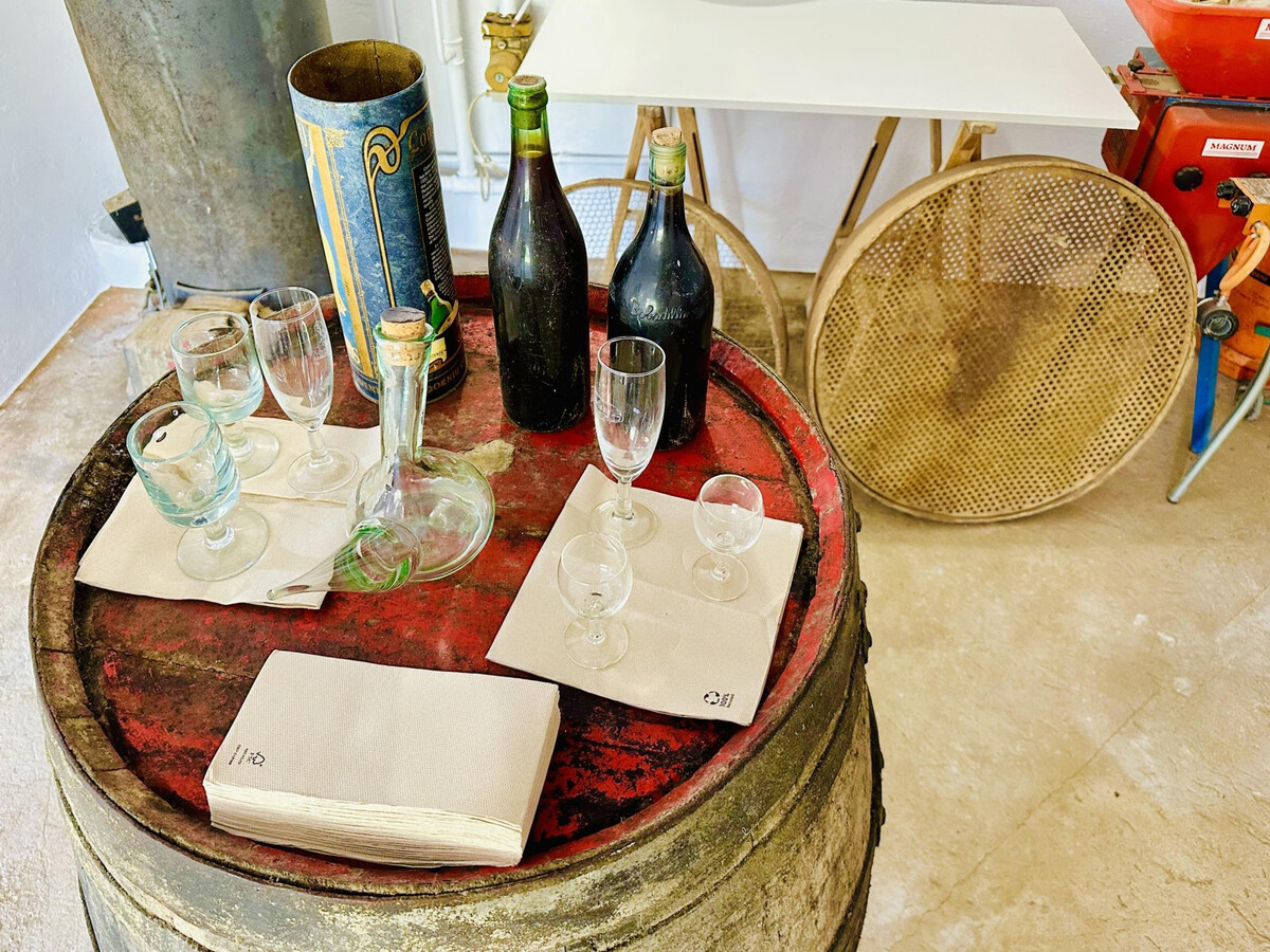 Can Bagudanch, villa vignoble Costa Brava - Photo 8