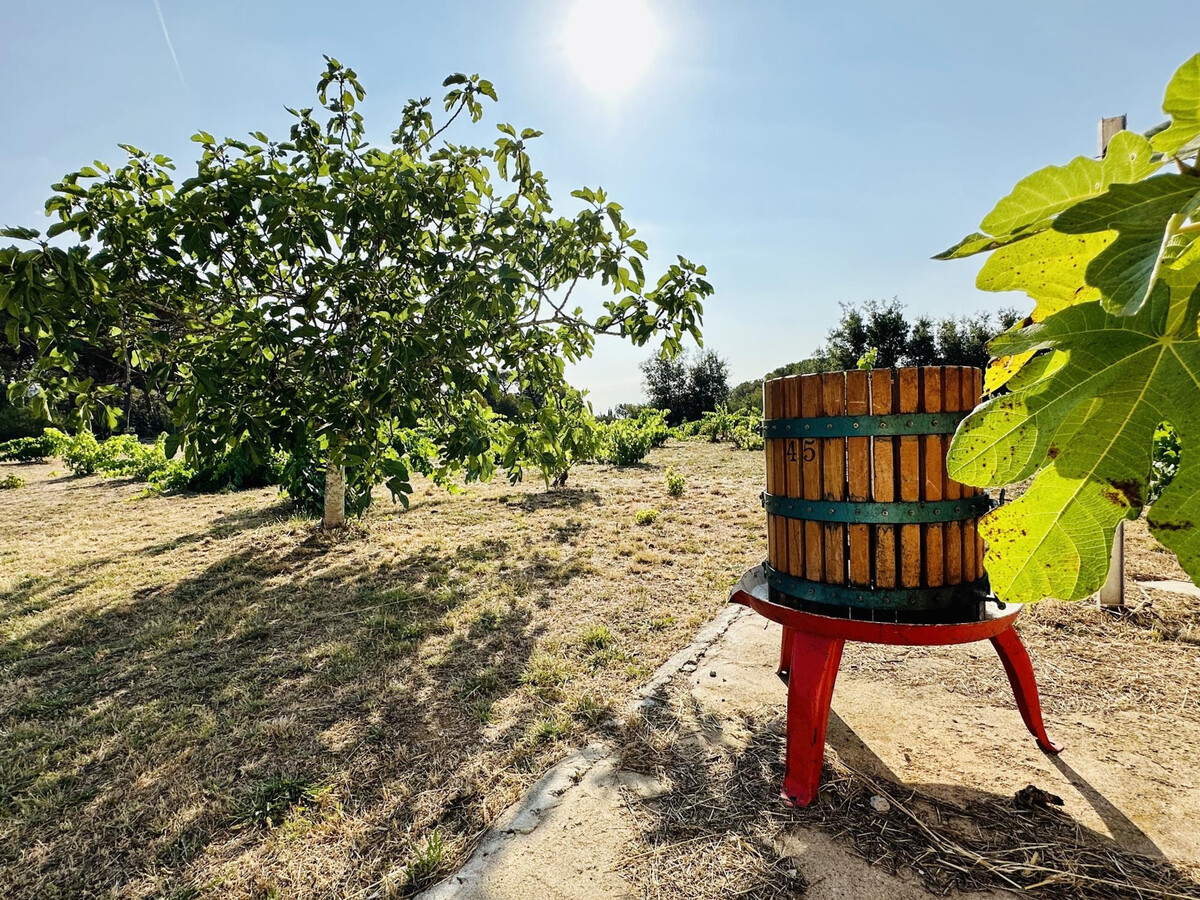 Can Bagudanch, villa vignoble Costa Brava - Photo 10