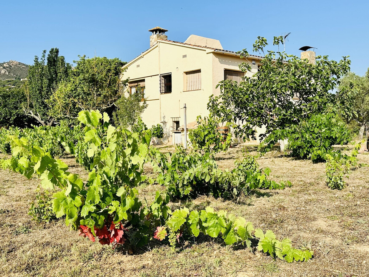 Can Bagudanch, villa vignoble Costa Brava - Photo 20
