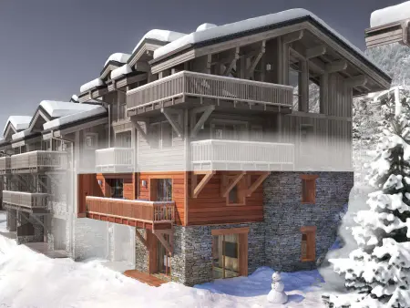 Appartement de charme à Courchevel 1650 avec sauna : photo 19