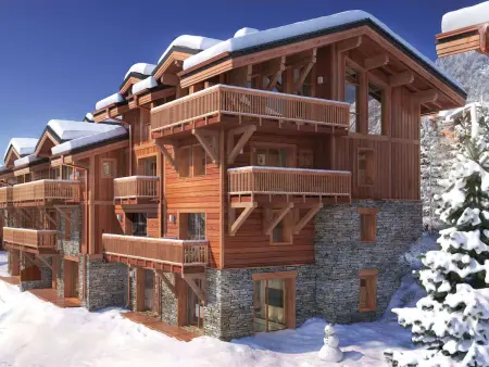 Appartement de charme à Courchevel 1650 avec sauna : photo 20
